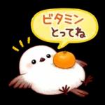 シマエナガたちの冬♪