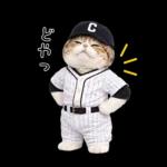 野球をする猫