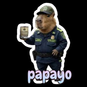 COLOMBIA POLICIA NACIONAL C. BARA POLICIA DE COLOMBIA - getsticker.com