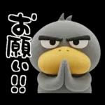 目ヂカラ強め☆ずんぐりなハシビロコウ②