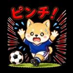 ワールドカップ