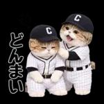 野球をする猫