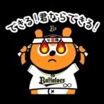 Buffaloes Ponta / Hipster