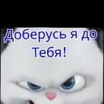 Стикеры