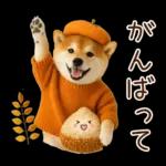 大人かわいい秋の癒し柴犬