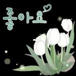 싱그러운 하루 메세지