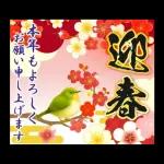 大人の華やか年賀状'26