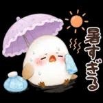 梅雨と夏のやさしい気遣い言葉♡シマエナガ