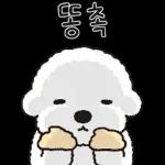 힘내라고 희동
