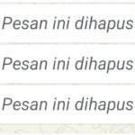 Pesan ini dihapus