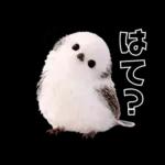 とってもかわいい♡シマエナガちゃん