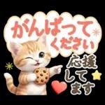 にゃんこ達の❤️気持ちたっぷり長文❤ねこ