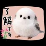 とってもかわいい♡シマエナガちゃん