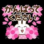 春を感じる♡うさぎさん