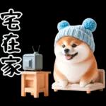 圓柴柴18:祝你有個可愛的一天❤️