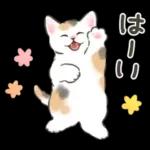 ふんわり可愛い☆猫たちのスタンプ