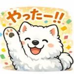 超かわいいサモエド犬の日常 普段使いに！