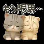 ねこちぃず♡ぐったり涙といたわり