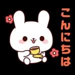 連絡白うさちゃん