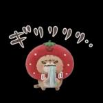 おひとよしネコチャン⭐️3Dフロッキー 1