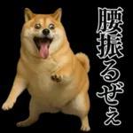 ガンギマリの柴犬＠エロ・日常会話