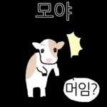 호기심 많은 소