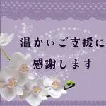 気にしすぎなくていい