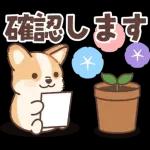 コーギーにとっての雨季と初夏