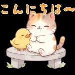 ぽかぽか春ねこライフ