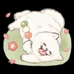 Samoyed-san in Spring
