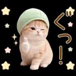 ずっと使える メロン帽が可愛い 猫とウサギ