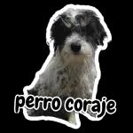 Cuidado con el Hambreado