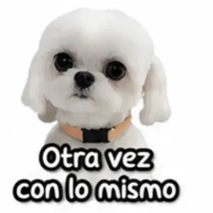 Otra vez con lo mismo - getsticker.com