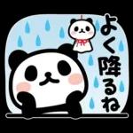 ぶなんなパンダ／お天気