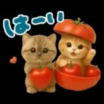 ねこちぃず♡毎日使える!挨拶とあいづち