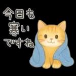 猫がいっぱい♡ふんわり可愛い秋＆冬