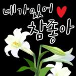 HD2026 스티커 복 대박 기원