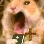 Este usuario está enfermo