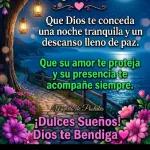 Que Dios te conceda una noche tranquila y un descanso lleno de paz. Que su amor te proteja y su presencia te acompañe siempre. Mundo de Postales ¡Dulces Sueños! Dios te Bendiga