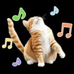 リアルな猫の敬語