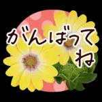 春✿明るい花で幸せ呼び込む✿やさしい声かけ