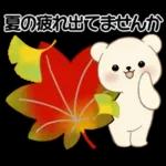 癒しを運ぶくまさん ♡ ほっこり秋