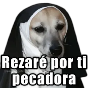 Rezaré por ti pecadora - getsticker.com