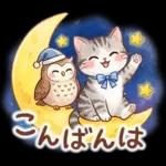 ずっと使える♪猫たちの日常