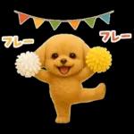 毎日使える【挨拶★返事】トイプードル