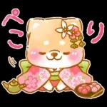 和菓子で敬語❤️いやしばいぬ❤️柴犬