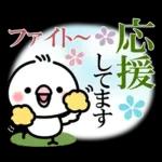 毎日しろちゃん22❤敬語・長文