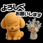 トイプードルの3D北欧カフェ/ずっと使える