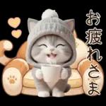 スコティッシュ猫 可愛いグレーニット 冬