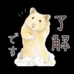 ゴールデンハムスター♡キンクマ